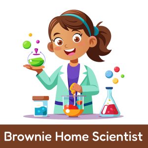 Brownie Home Scientist Workshop at Studio Bella