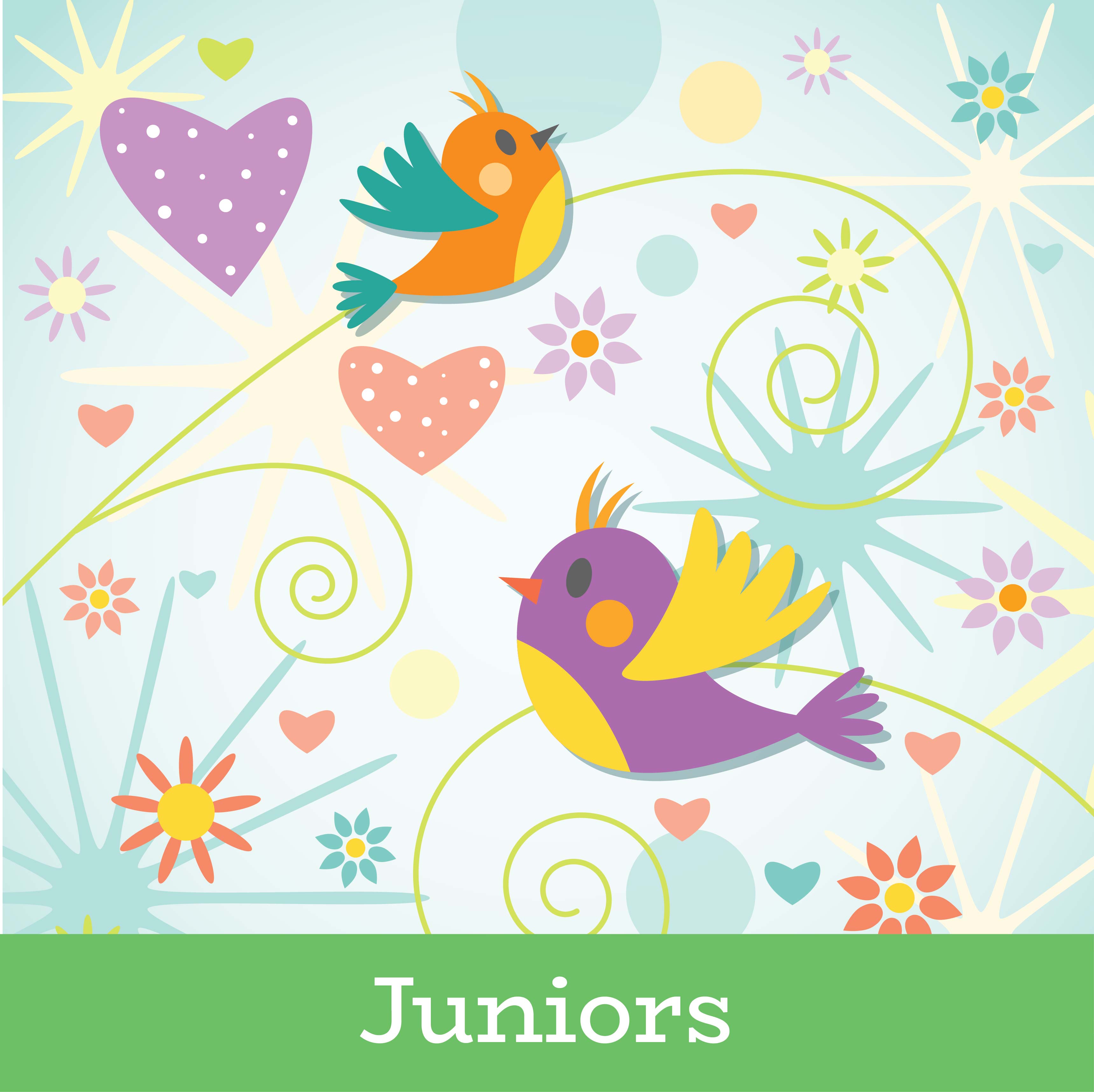 3-in-1 Spirals, Seeds and Symmetry - Juniors (Badge Buster)